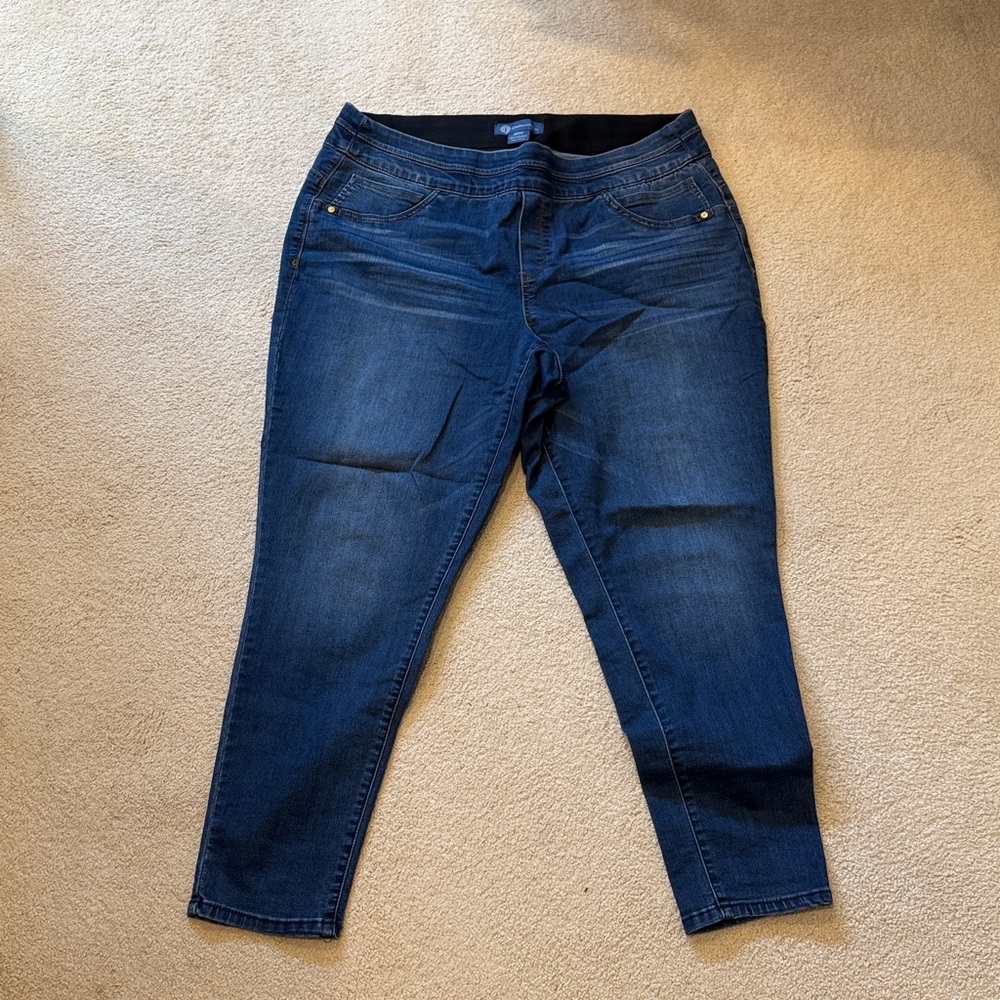 Democracy Dark Blue Ankle Jeans